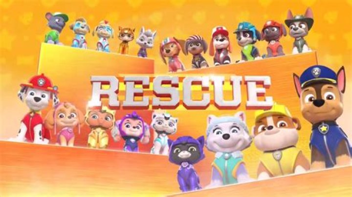 Discover the Heartwarming Adventures of PAW Patrol and Its Lovable Team