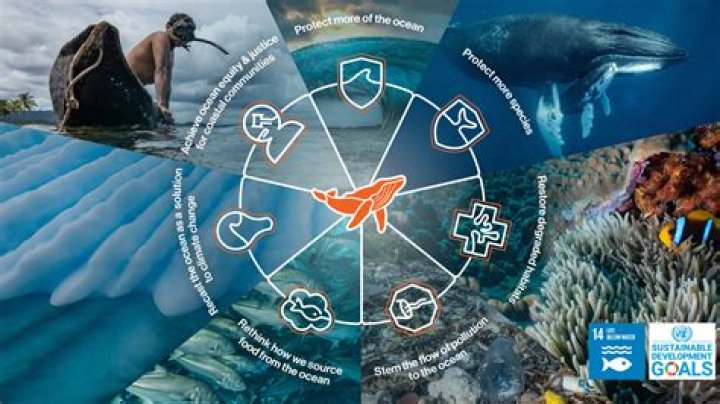 Discovering Stingray Steve: A Champion for Marine Conservation