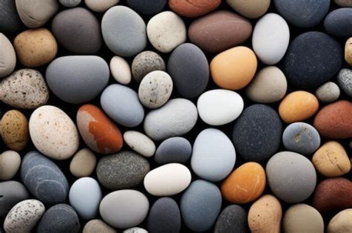 Exploring the Artistic World of Pebbles: A Unique Creative Journey