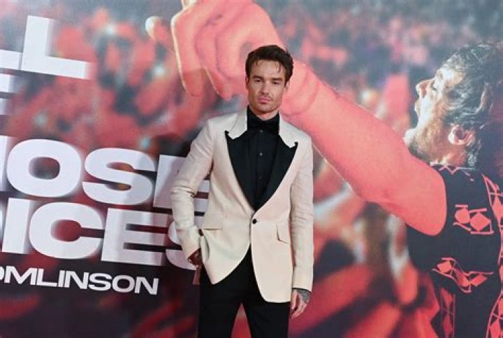 Exploring the Online Presence of Liam Payne on Reddit