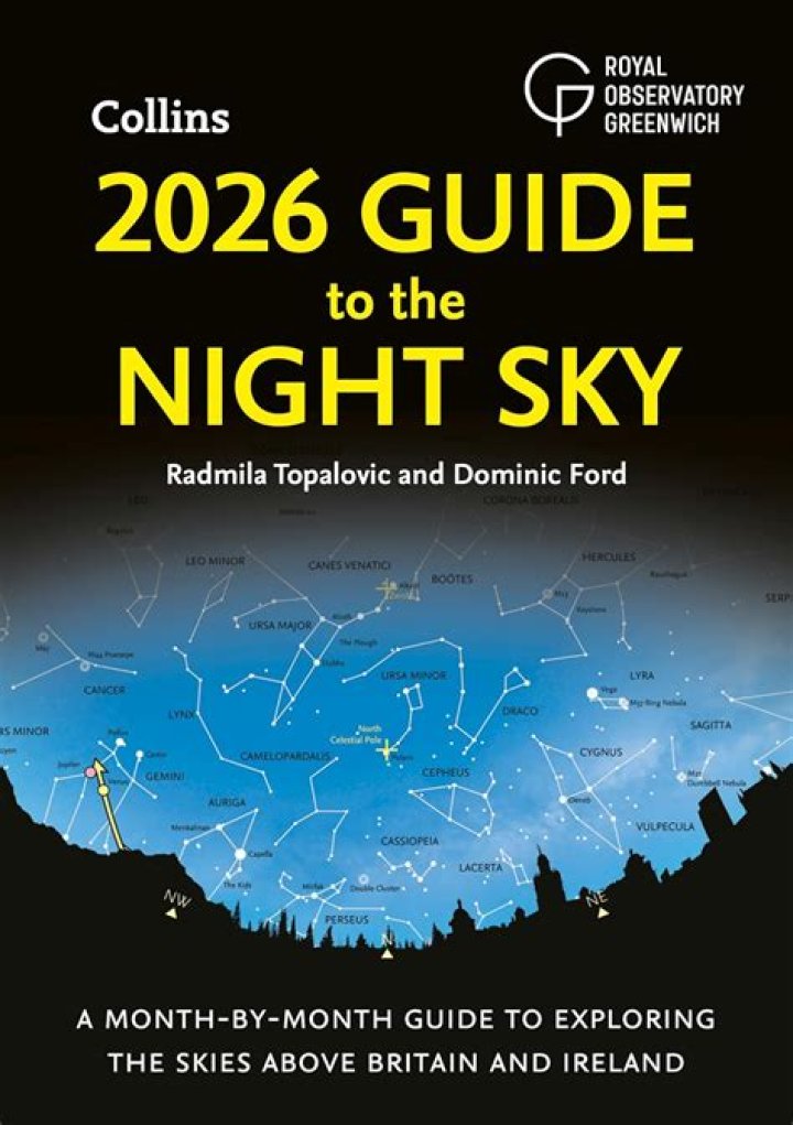Filmy Fly 2024: The Ultimate Guide to Exploring the World with Style and Ease